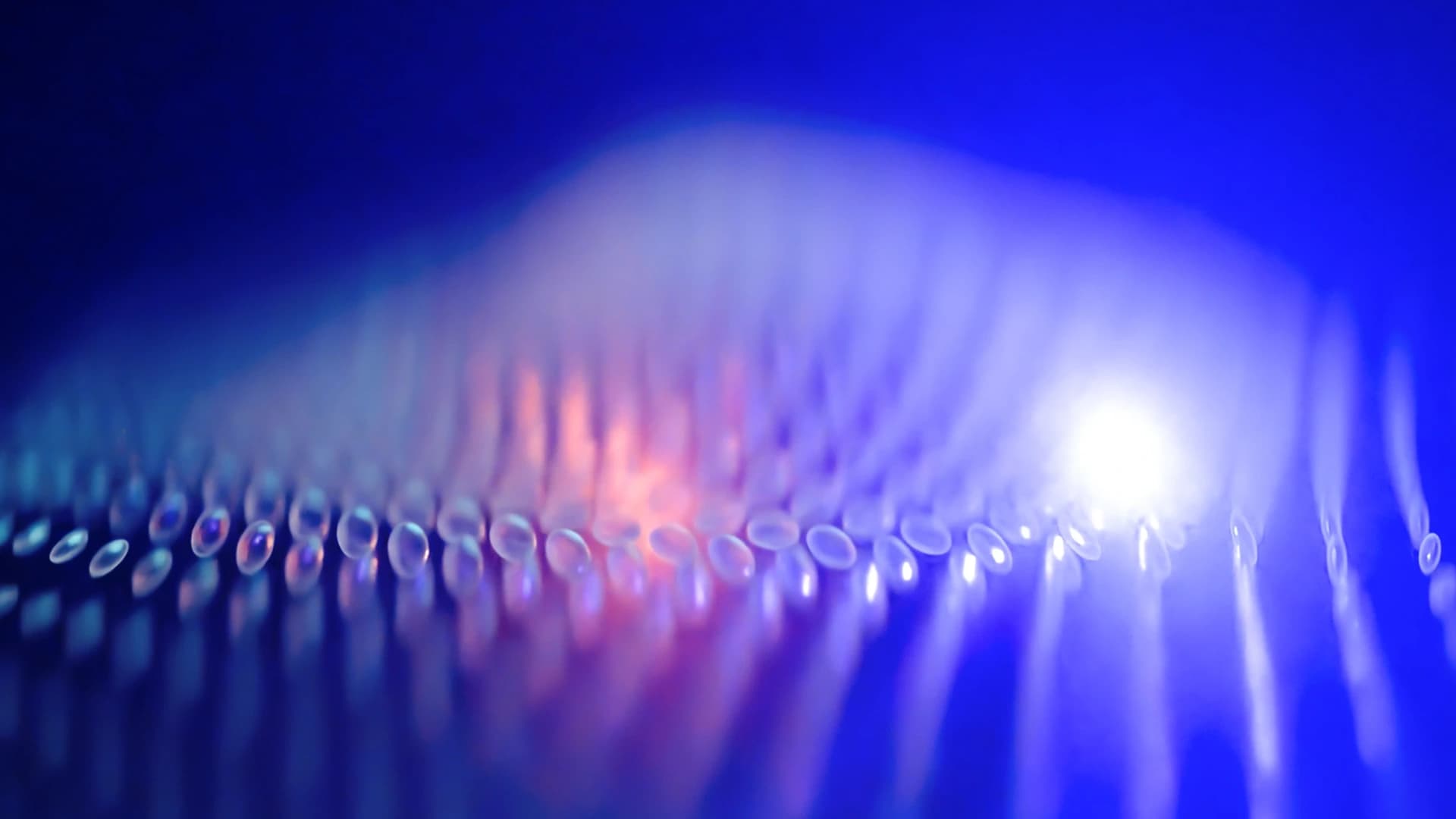 Parametric study — variant 17 v2