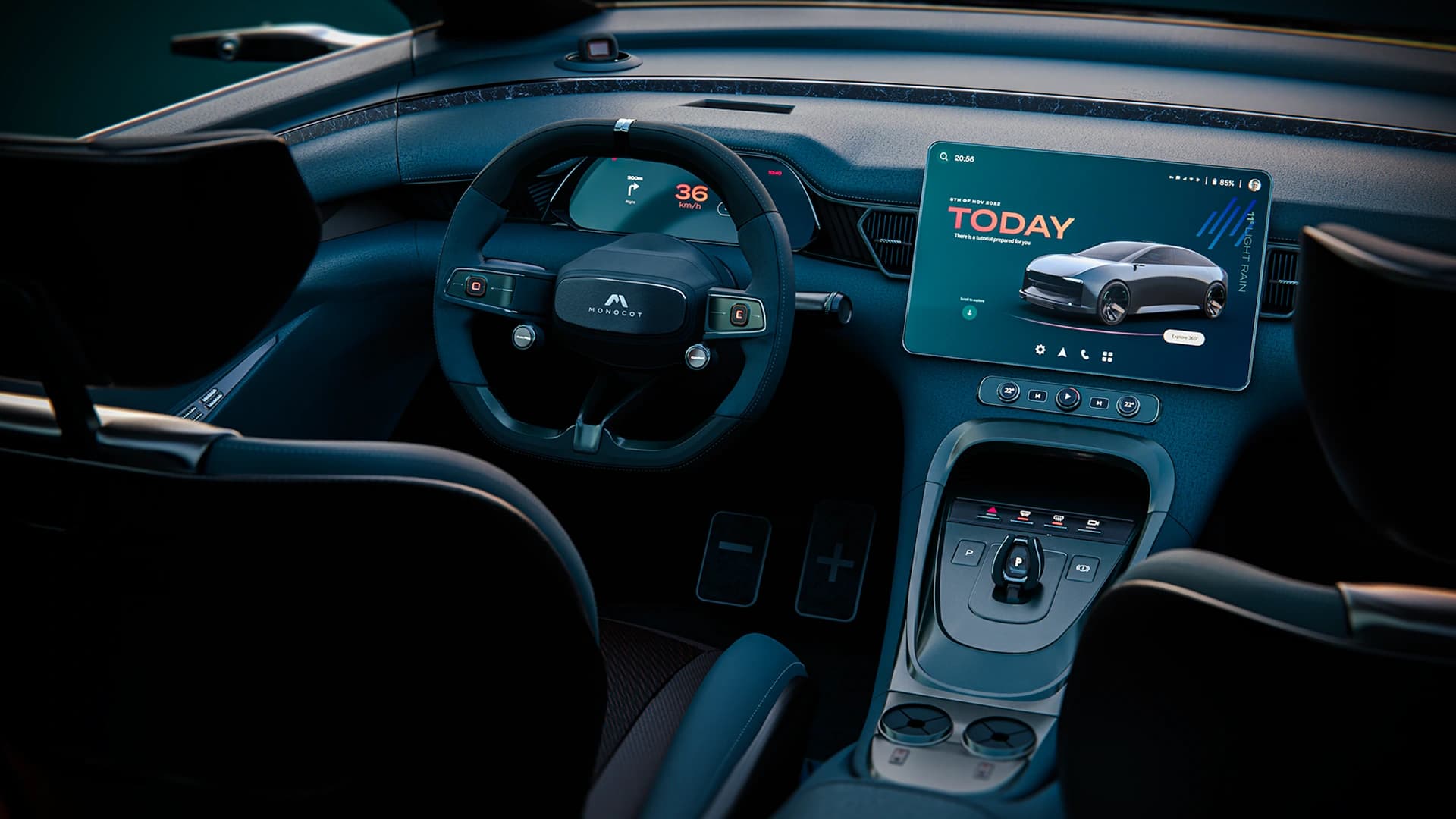 Monocot interior — dashboard area