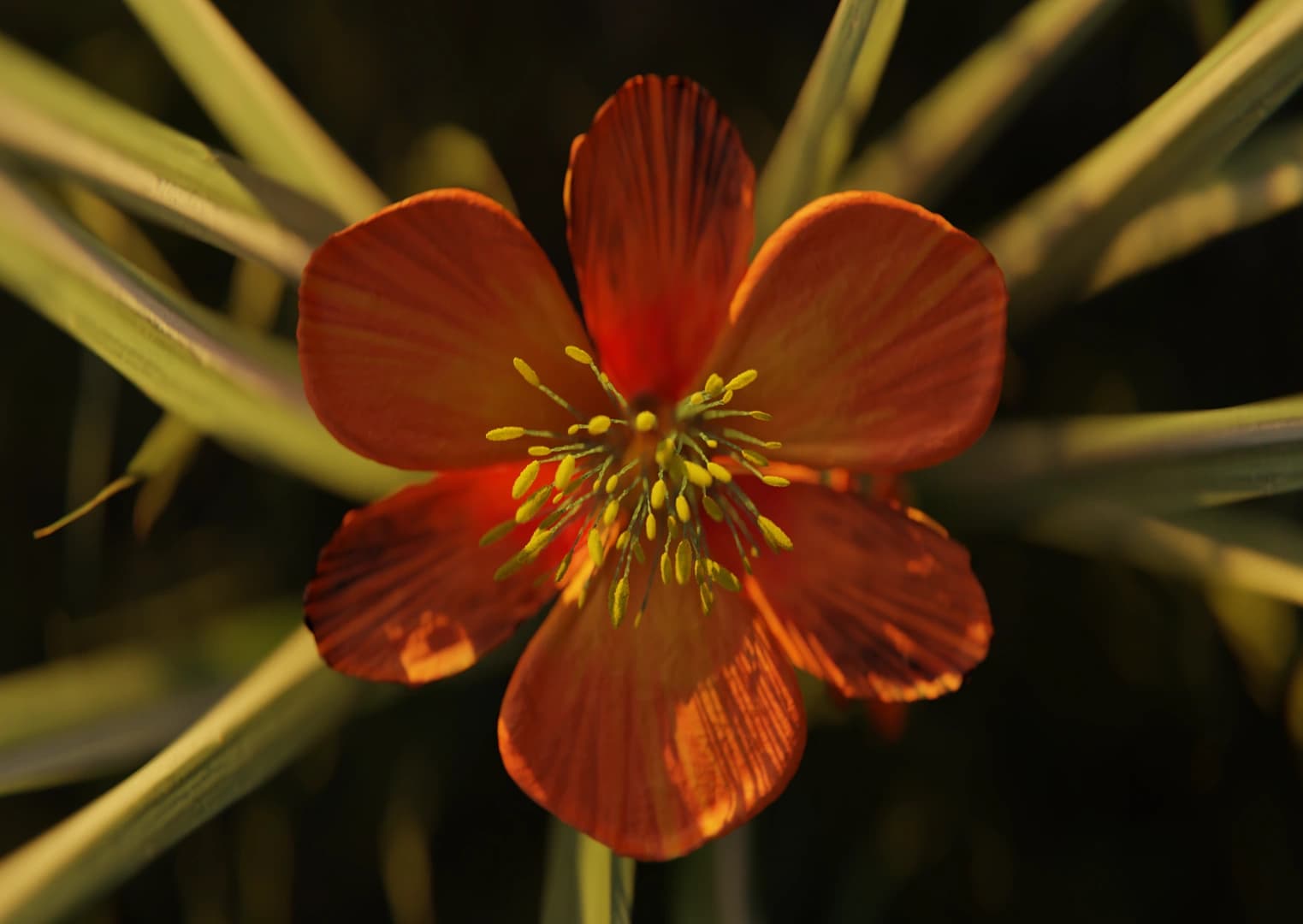Monocot — narrative scene